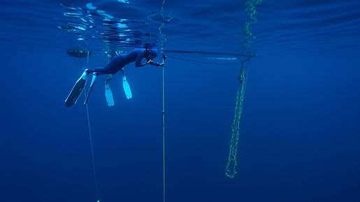 obx freediving, ocean bx freediving, mati freediving, plate form counter ballast