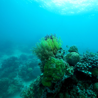 OCEAN BLUEX, FREEDIVING, MOLCHANOVS, discovery, tagum