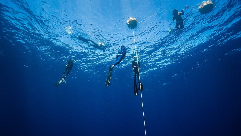 obx freediving, ocean bx freediving, mati freediving