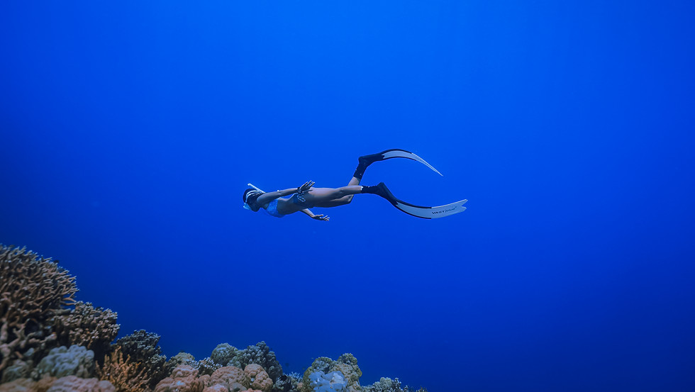 oceanbxfreediving, obxfreediving, matifreediving, philippinesfreediving, freediver