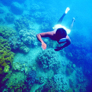 ocean bluex, training, freediving, molchanovs