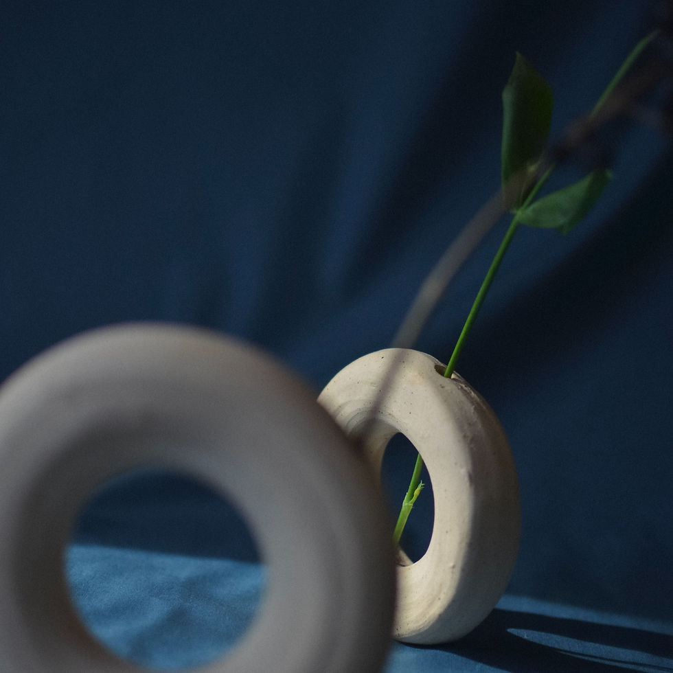 Thumbnail: Donut Vase 6