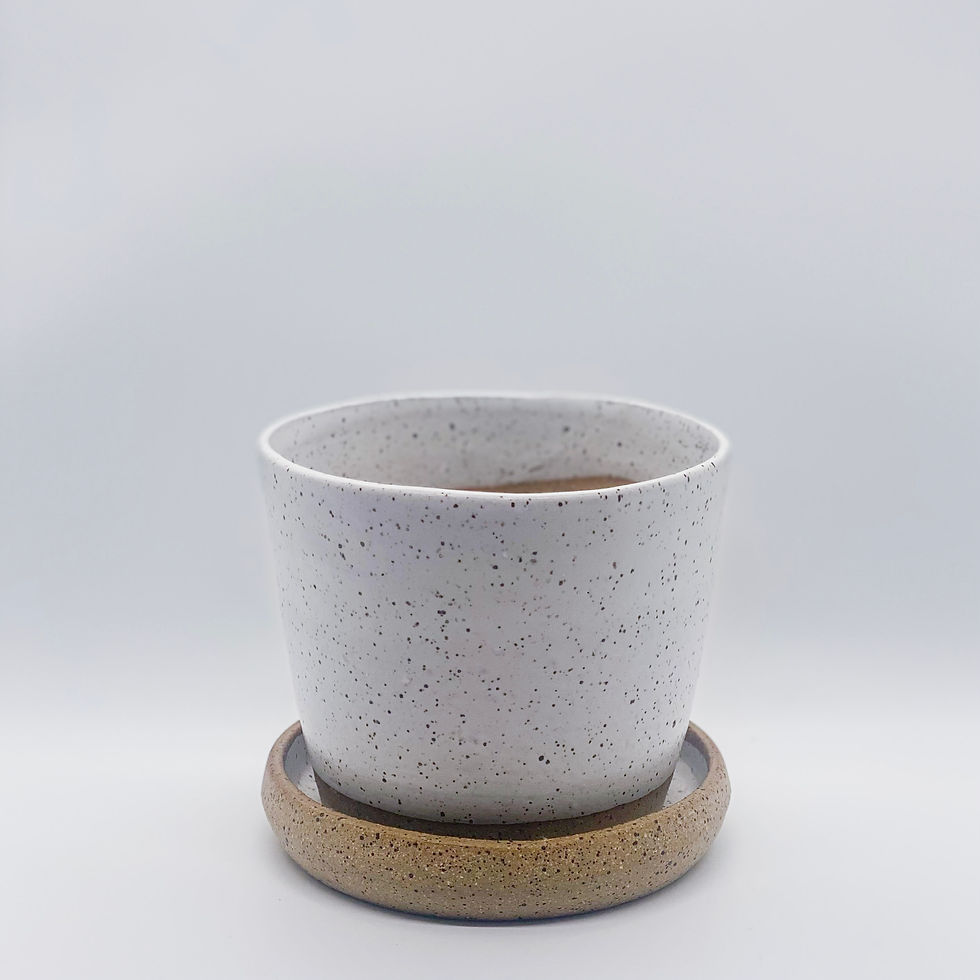 Thumbnail: Small Planter