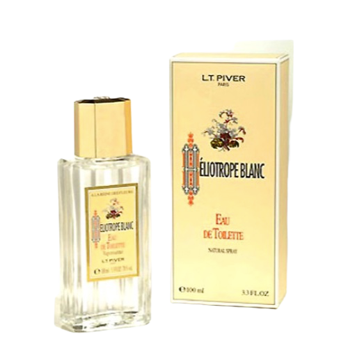 Miniature : HÉLIOTROPE BLANC
