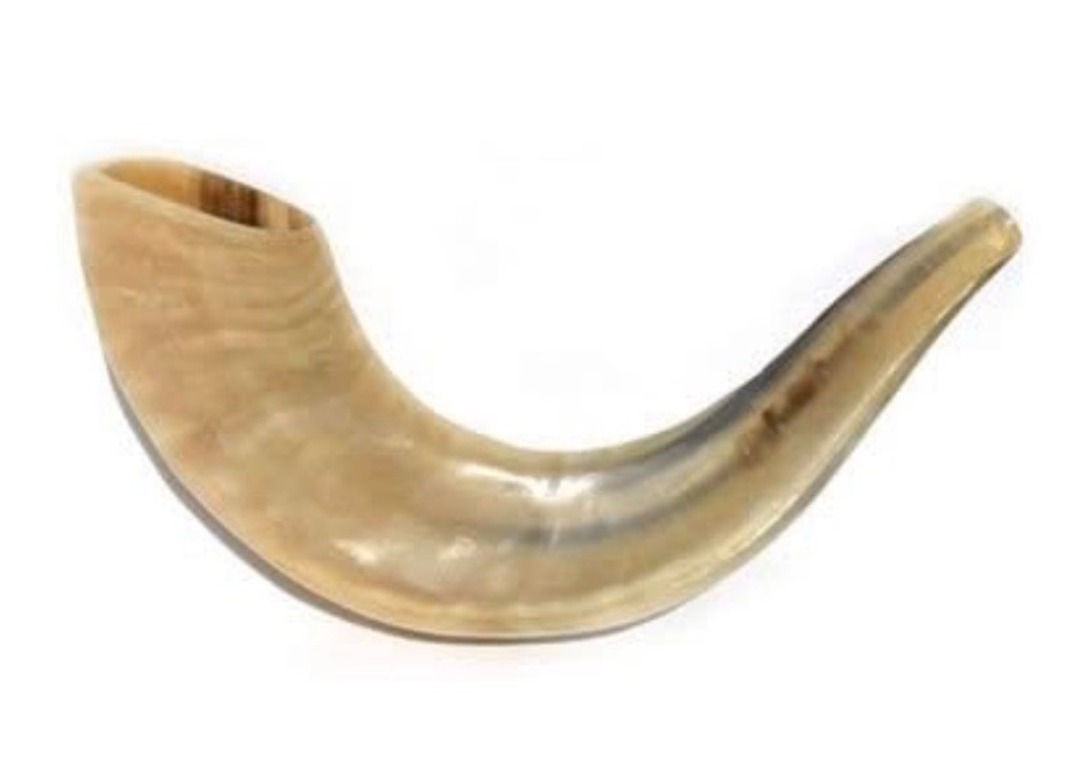 Shofar - Instrument à vent