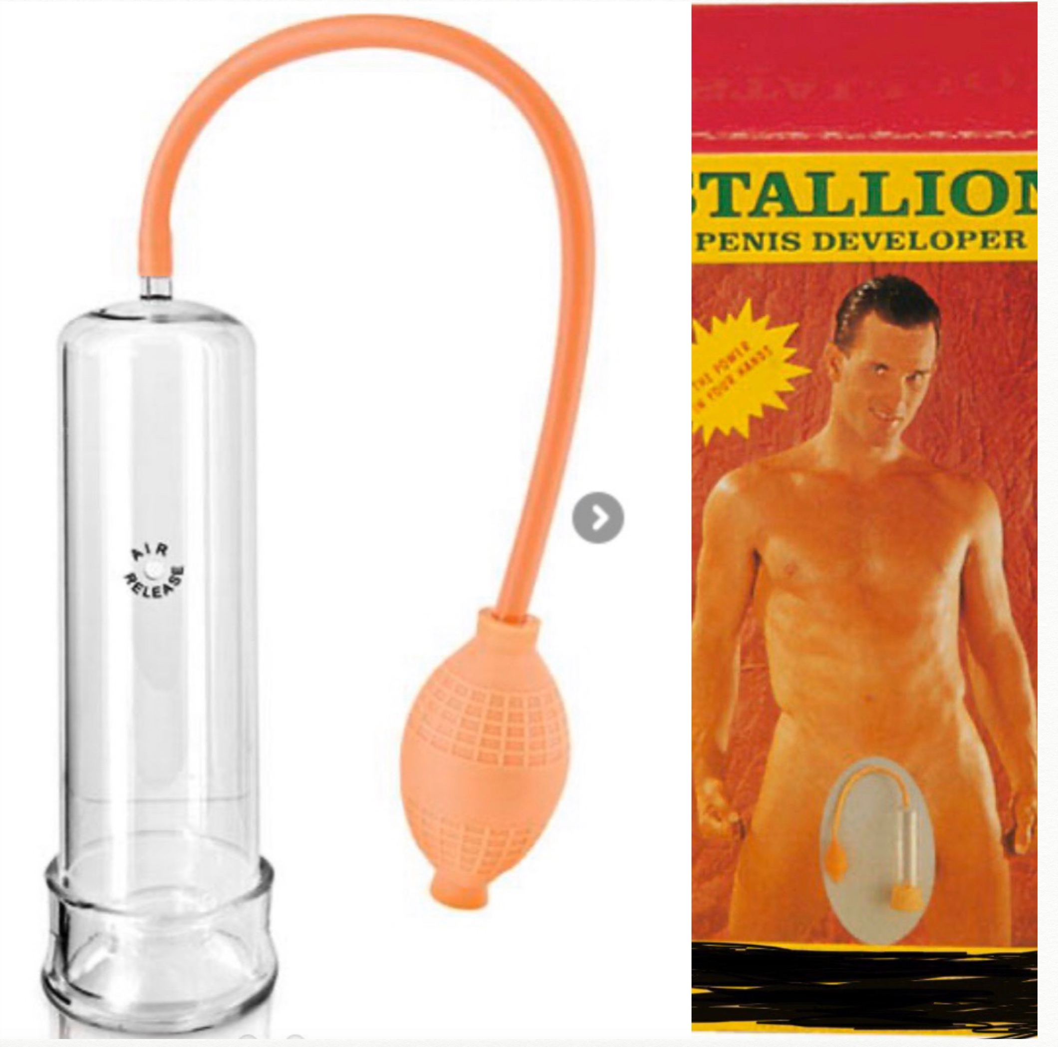 DEVELOPPEUR STALLION