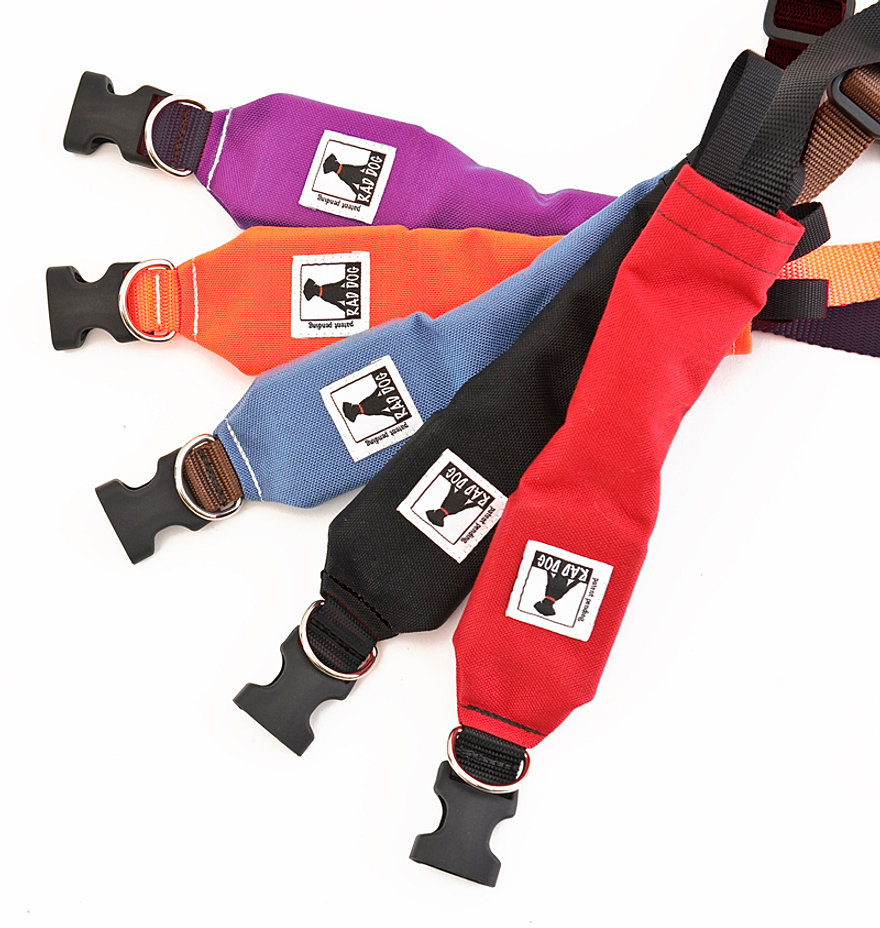 Dog Grooming Casino Nsw