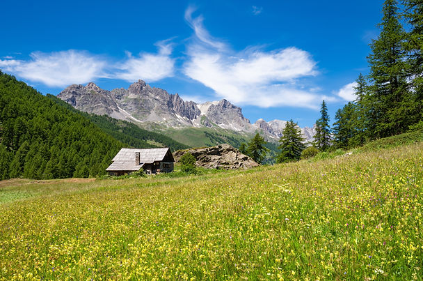 Prairie dans les Hautes-Alpes