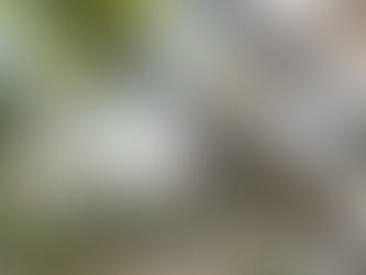 報告📣体験ヨガイベント 福岡大名<2024年4月14日(日)>