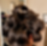 48271163-6B5F-46C2-9A6D-E1E3E96EDCA9_edited_edited_edited.png