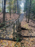 thumbnail (4)