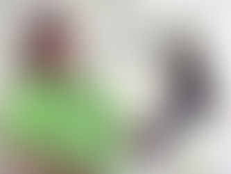 Green Chimneys Celebrates Birds of Prey