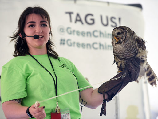 Green Chimneys Celebrates Birds of Prey