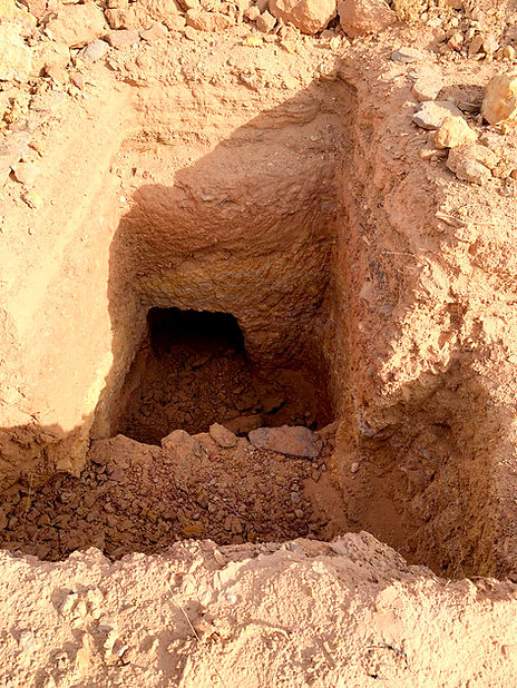 excavacion fosiles 1_edited.jpg