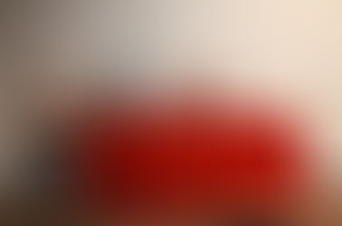 4ª JORNADA DE MANEJO DE PLAGAS DE LA VID EN LOS VALLES CALCHAQUIES