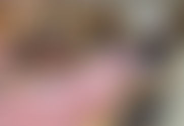 TÉCNICOS DEL GOBIERNO PROVINCIAL Y DE CyMAT-INTA CAPACITARON A PERSONAL DE LA EEA SALTA