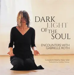 Dark Light Of The Soul