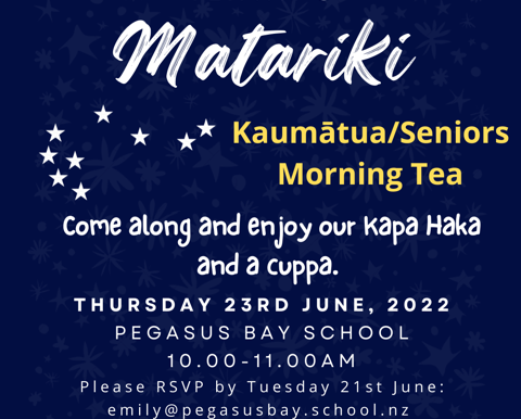 Matariki Morning Tea Event for our Pegasus Seniors/Kaumātua's