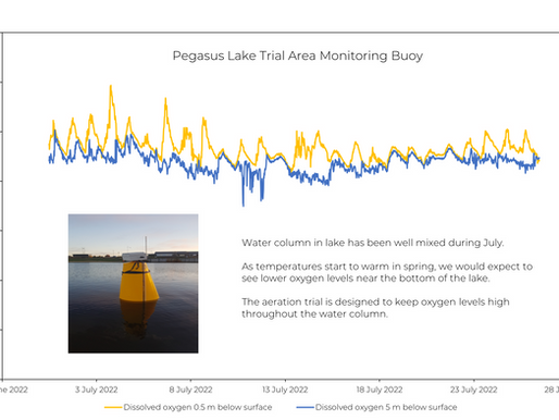 Pegasus Lake Trial Update - August 2022