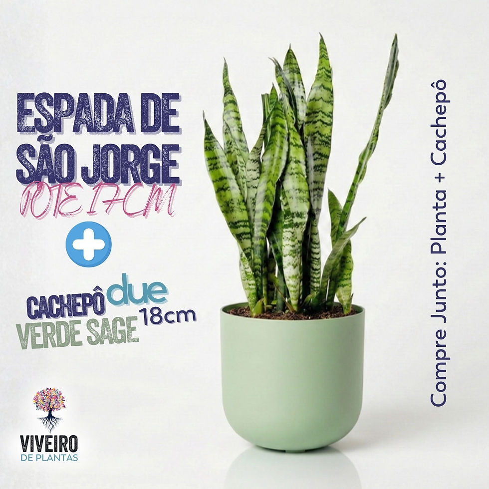 Miniatura: Espada de São Jorge Pote 17cm - Compre Junto: Cachepô Due 18cm