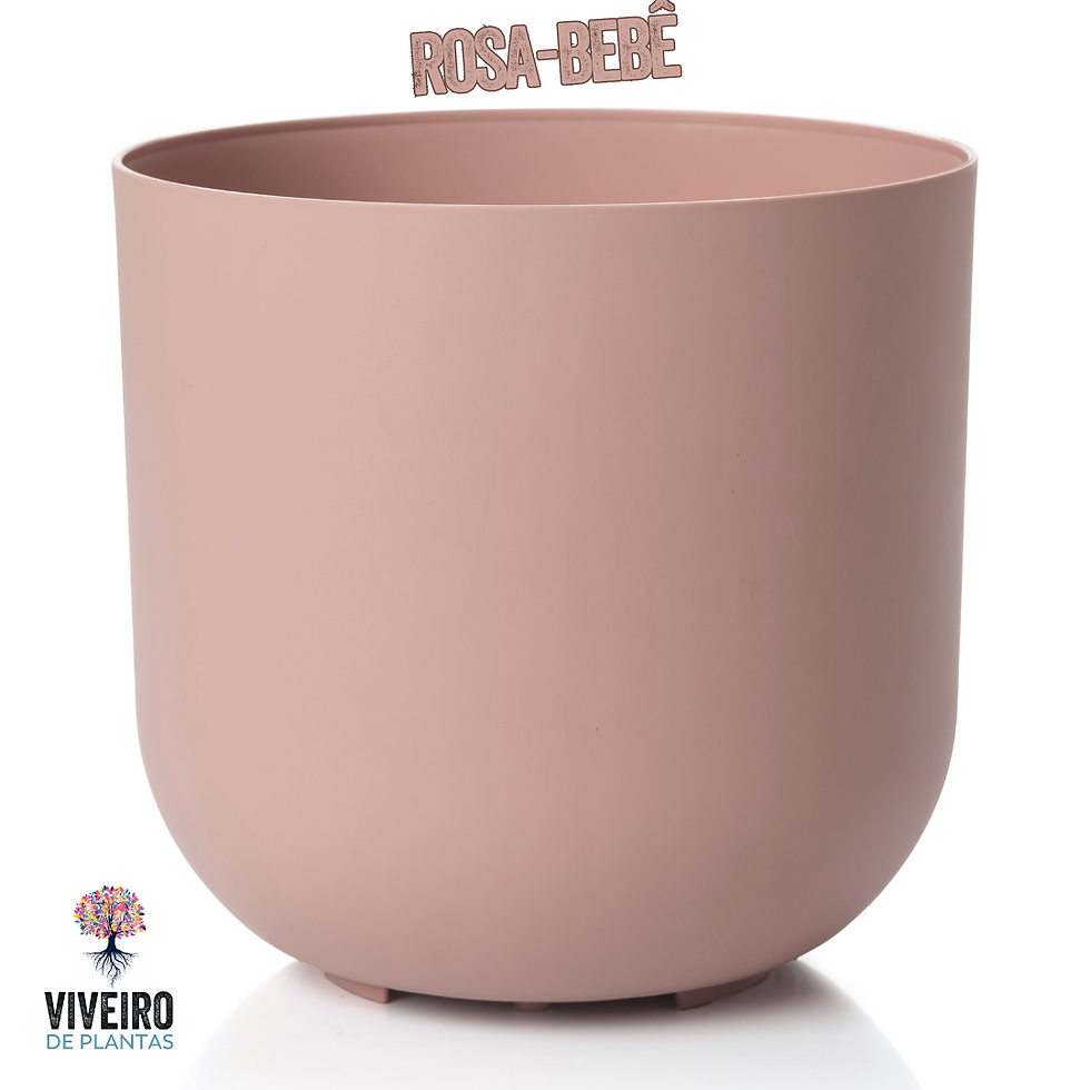 Miniatura: Cachepô Due 16cm para Plantas com Pote 15cm e 12cm - 6 Cores