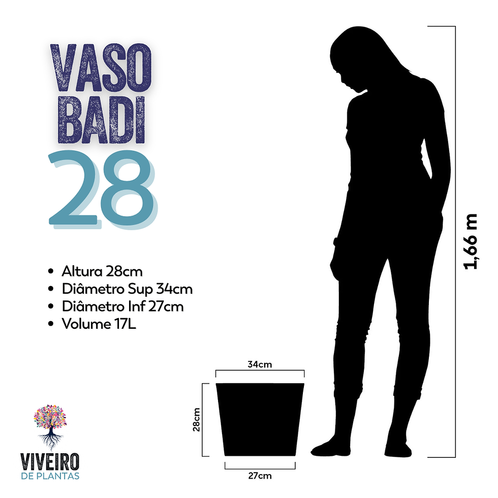 Miniatura: Vaso Badi 28cm de Altura e 34cm de Boca