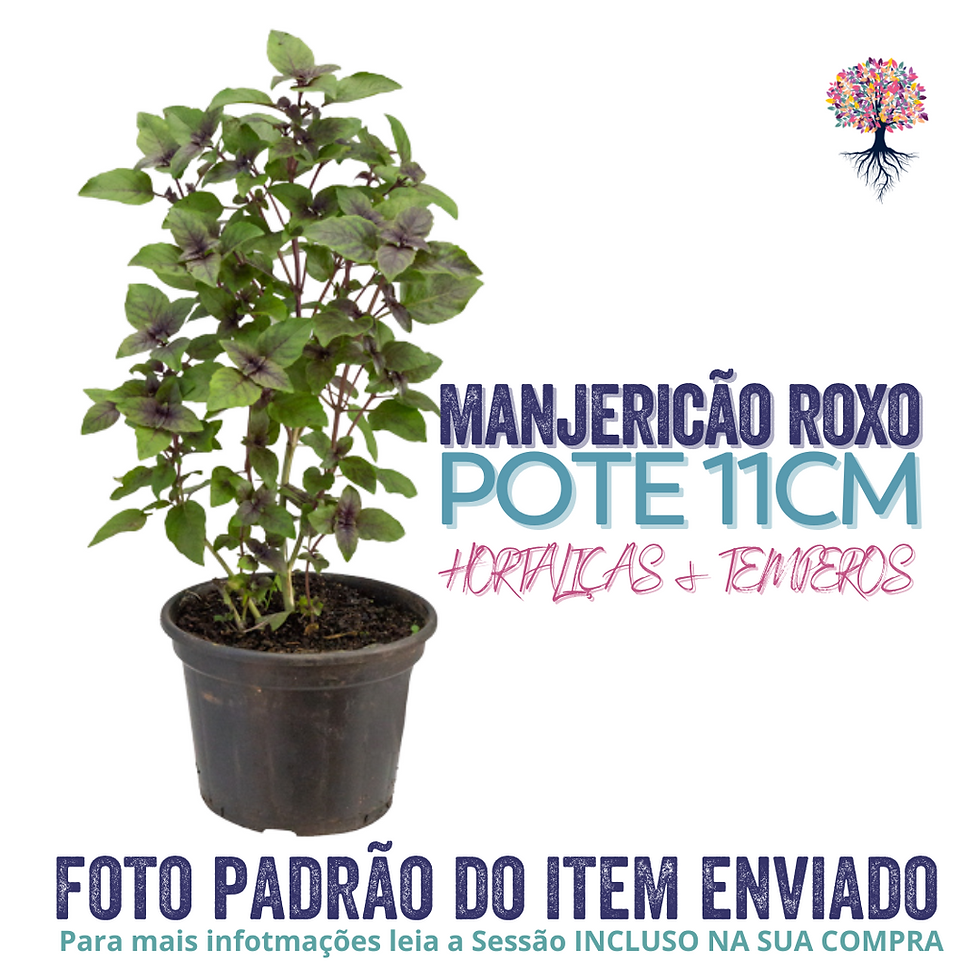 Miniatura: Hortaliças e Ervas Aromáticas Pote 11cm