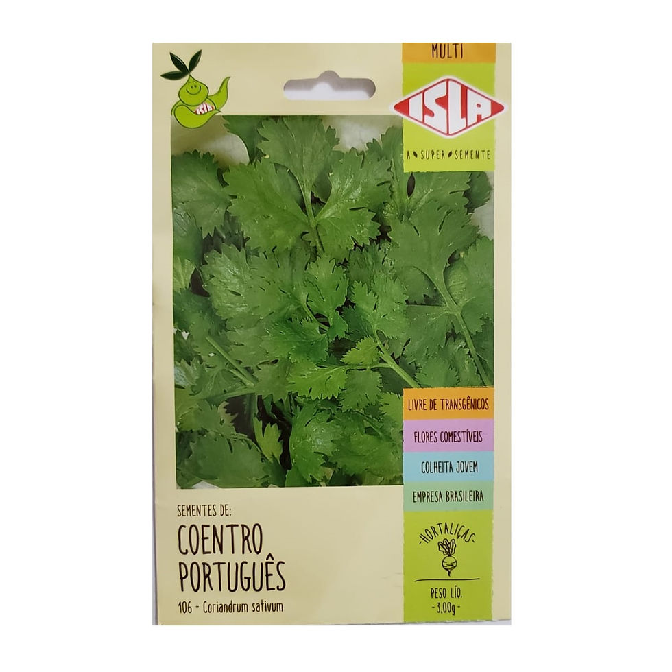 Sementes de Coentro Português