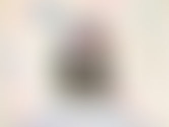 Projeto Eu Passarinho - Junho - 2022