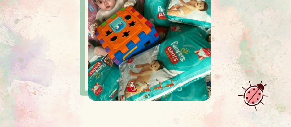 Projeto Borboletas Somos Raros - Dezembro 2022