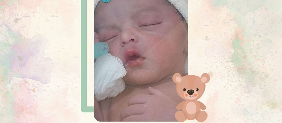 Projeto Vovó do Céu - Fevereiro 2023