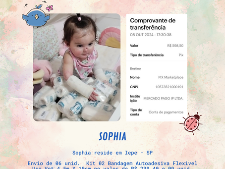 Projeto Borboletas Somos Raros - Novembro 2024