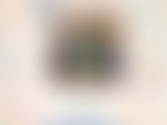 Projeto Borboletas Somos Raros - Novembro - 2022