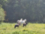 IMG-20240120-WA0005(1)