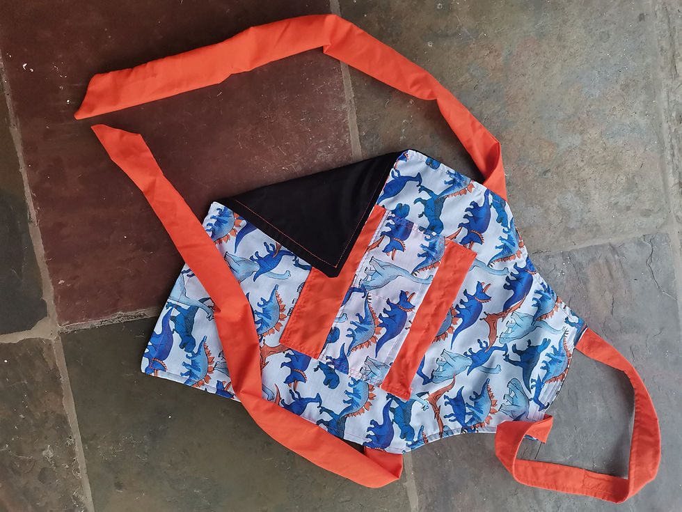 Thumbnail: Children's Dinosaur Apron
