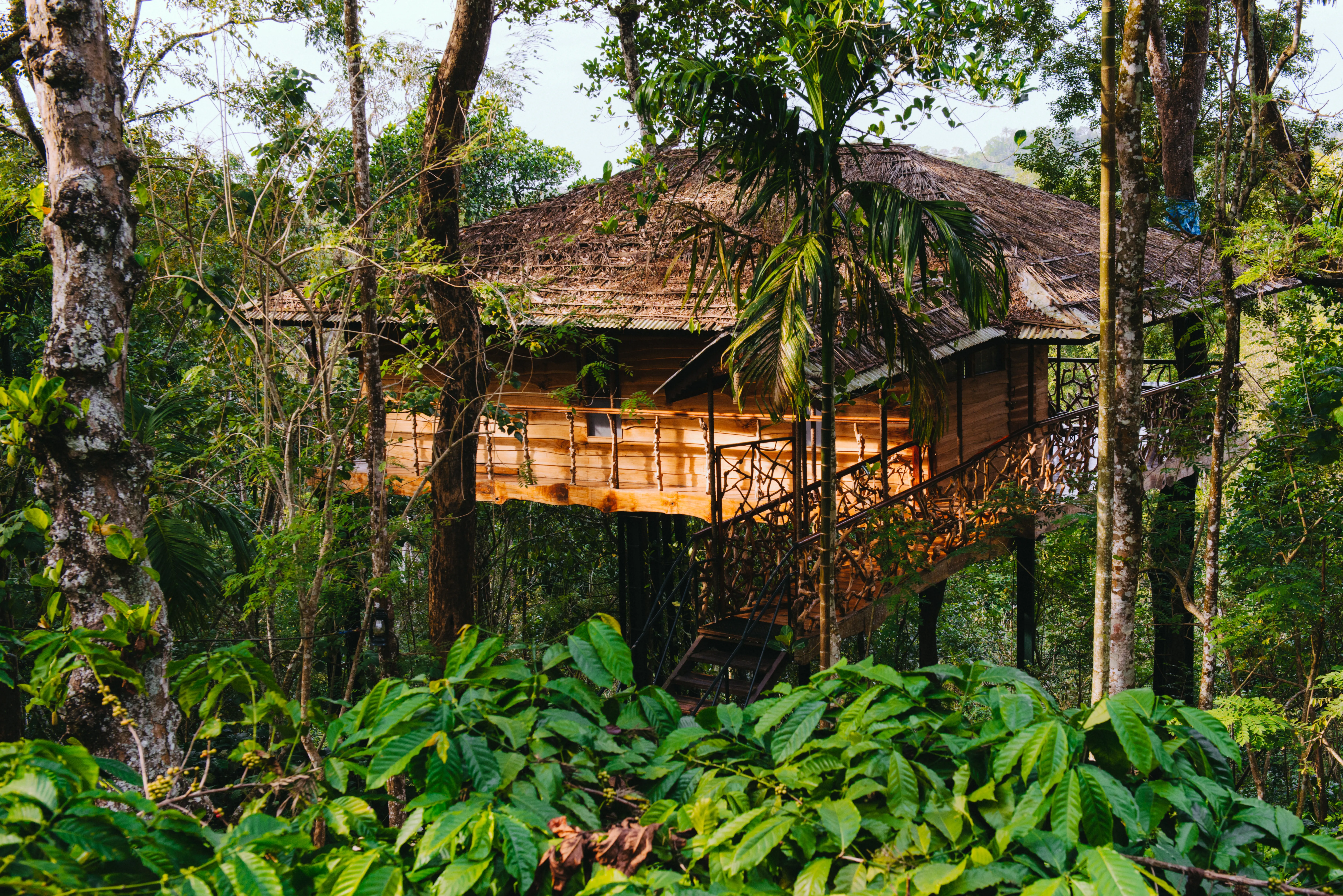 Wayanad: Enchanting Mountains And An Overall Plethora of Splendid Natural Beauty And Spots