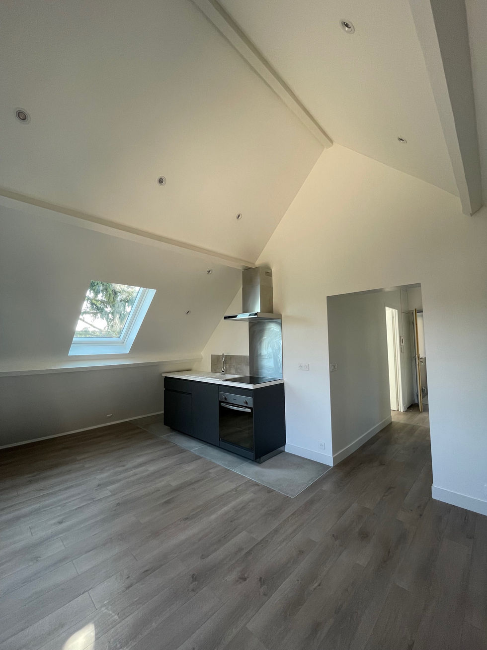Appartement T2 combles aménagés