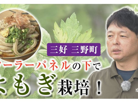 NHK徳島WEB特集に掲載していただきました!