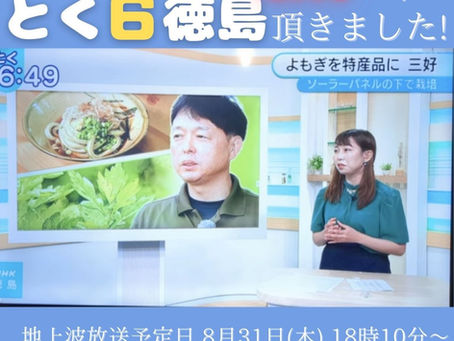NHK徳島放送局より8月31日(木)18時10分〜「とく6徳島」にて放送されました。