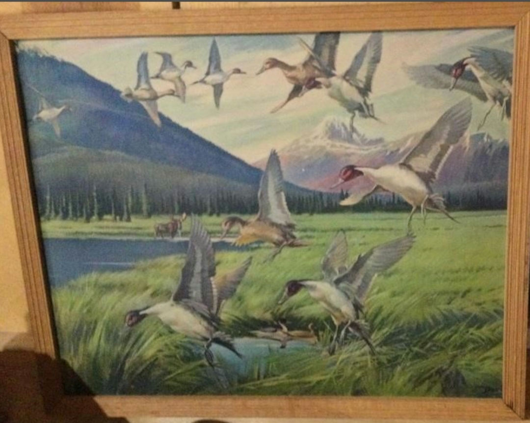 Vintage Rick Kelly fowl framed picture