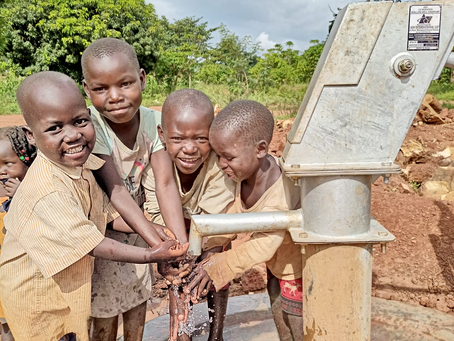 BT Rehabilitates a Water Source for Each Working Day of the Year! Read our Autumn Bugle! 