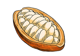 Cocoa Pod