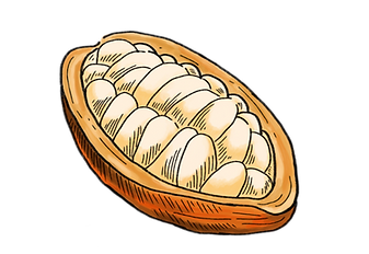 Cocoa Pod