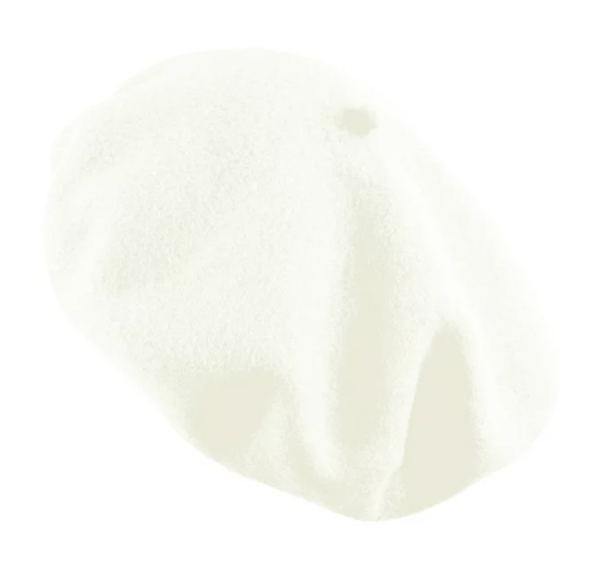 【空白素材】羊毛畫家帽