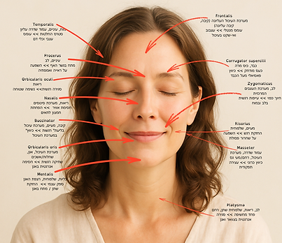 הוסף כותרת (10).png