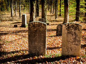 We must never, ever forget