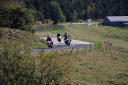 IMG_4451