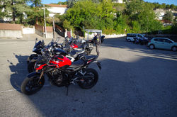 IMGP7203