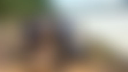 The Annual Fishing Trip