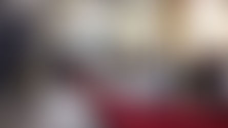 Charlotte Hornet, North Carolina